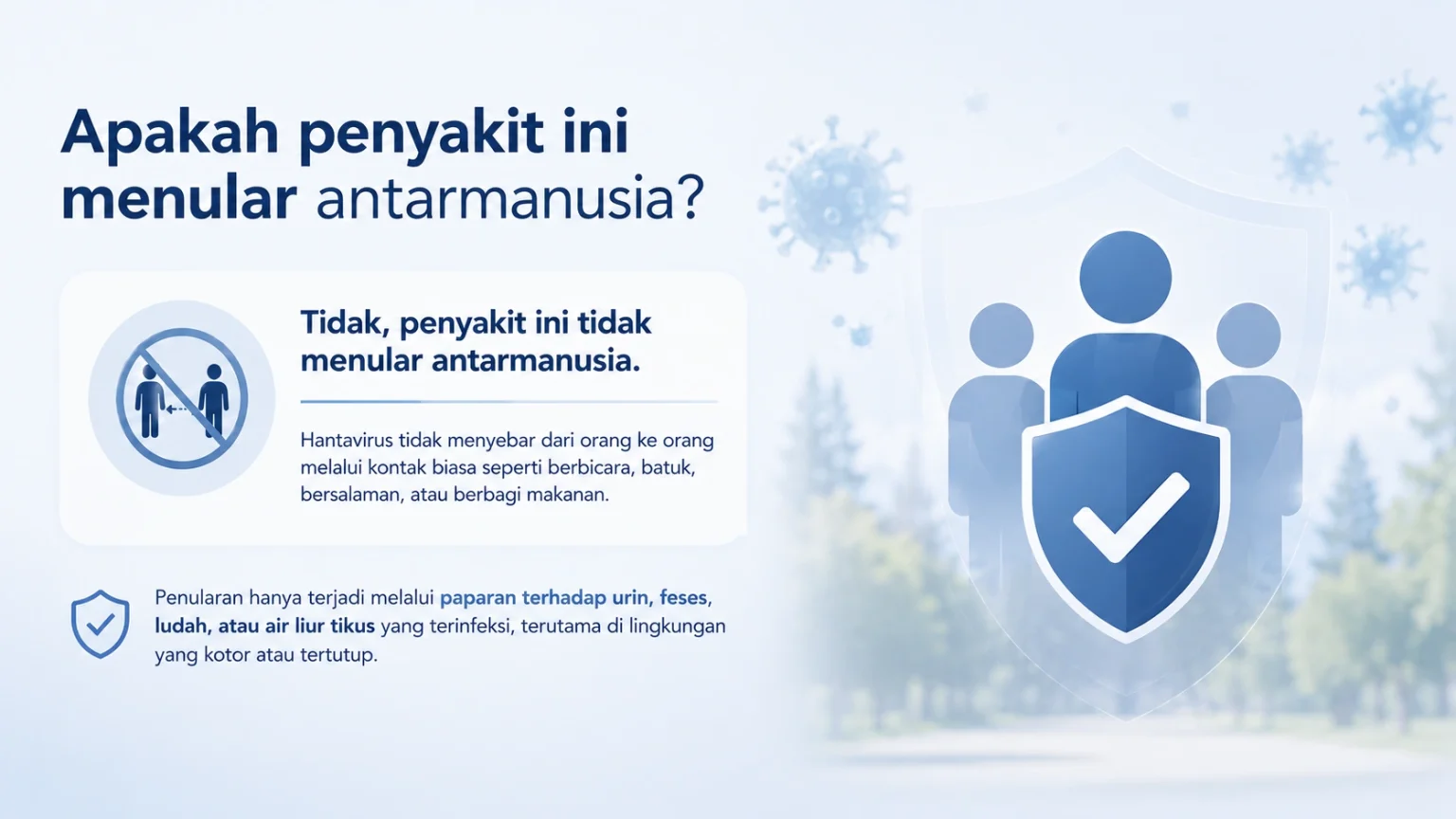 hantavirus1
